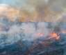 Fires in Brazil's Amazon at lowest level in 40 years