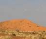 Native Grass Blankets Desert Dunes, Enhances Vegetation Cover