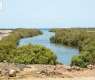 NCW Marks International Mangrove Conservation Day, Highlights Role of Coastal Ecosystems