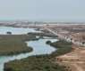 Over 23 Million Mangrove Trees Strengthen Coastal Sustainability in Jazan