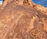 Archaeological Inscriptions at King Salman Royal Reserve Preserve Legacy of Ancient Civilizations