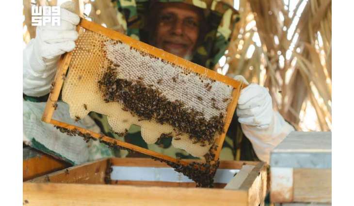 Saudi Reef Academy Implements Initiative to Develop Beekeeping Sector, Promote Sustainable Rural Development in Eastern Region