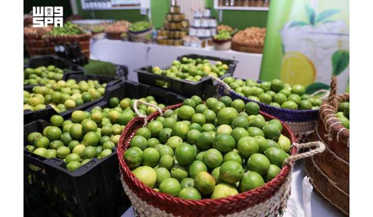 Saudi Reef Program Boosts Al-Hasawi Lime Production and Sustainability