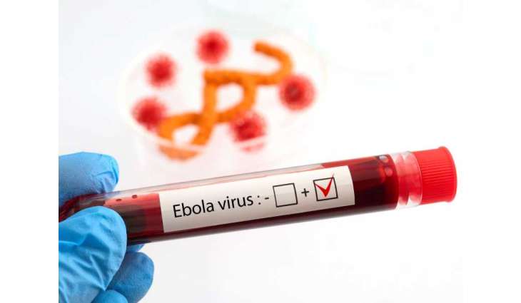 First Ebola patient in France recovers