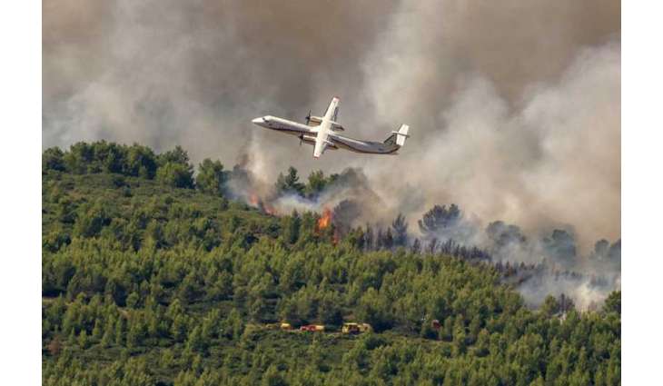 Wildfires in southern France consume nearly 1,000 hectares of forest