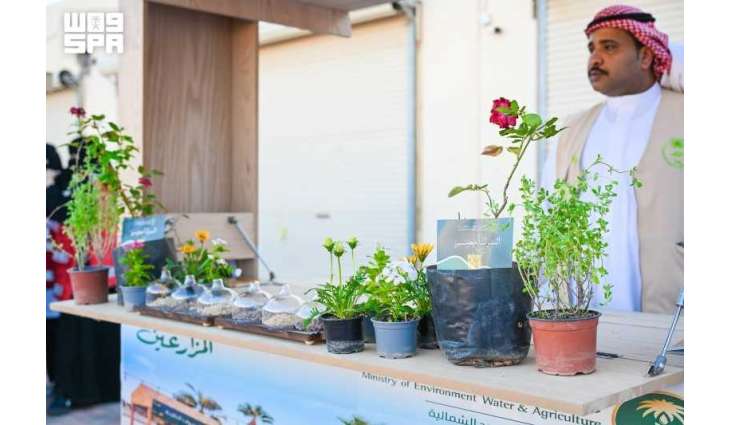 Four-Day Farmers Market Festival Launches in Turaif