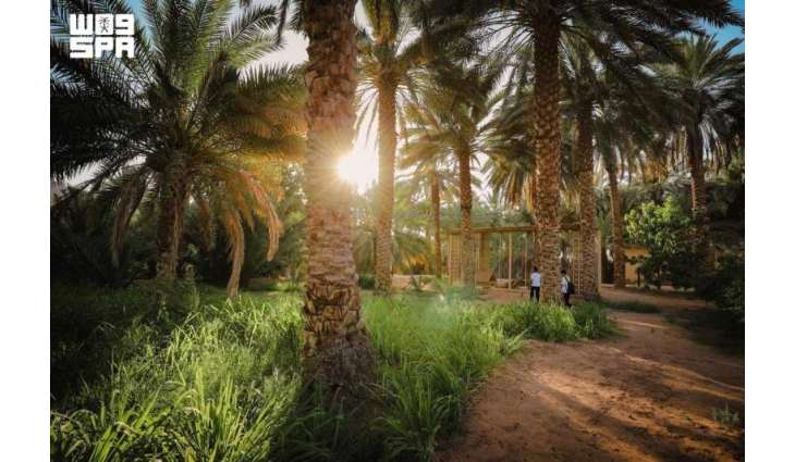 الهيئة الملكية لمحافظة العُلا تطلق موسم 