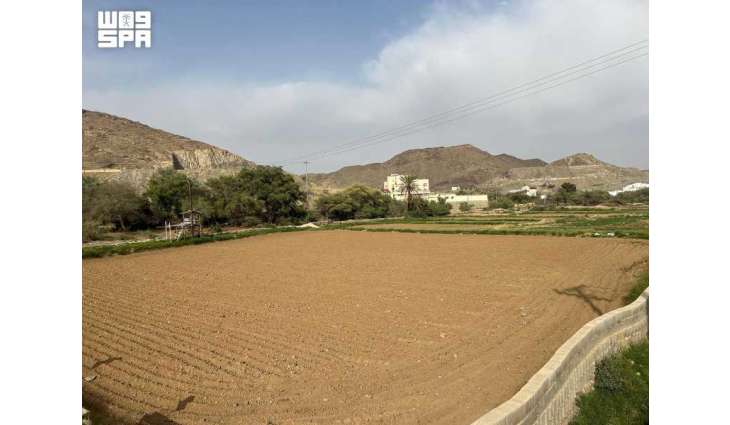 Sirius Marks Start of Aseer's Traditional Autumn Season