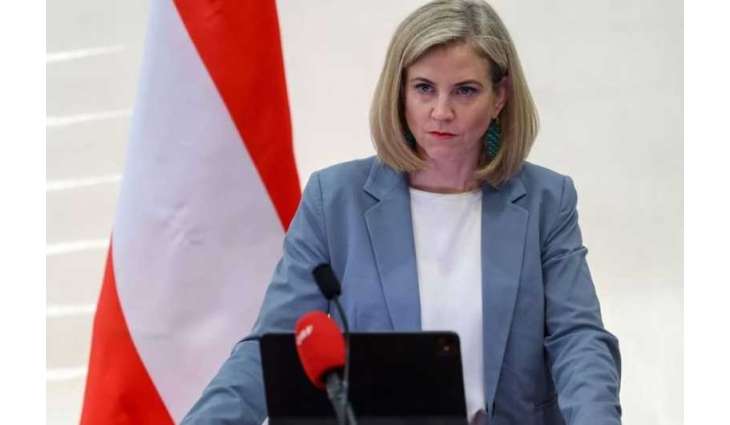 Austria stresses need to continue implementing Gaza peace plan