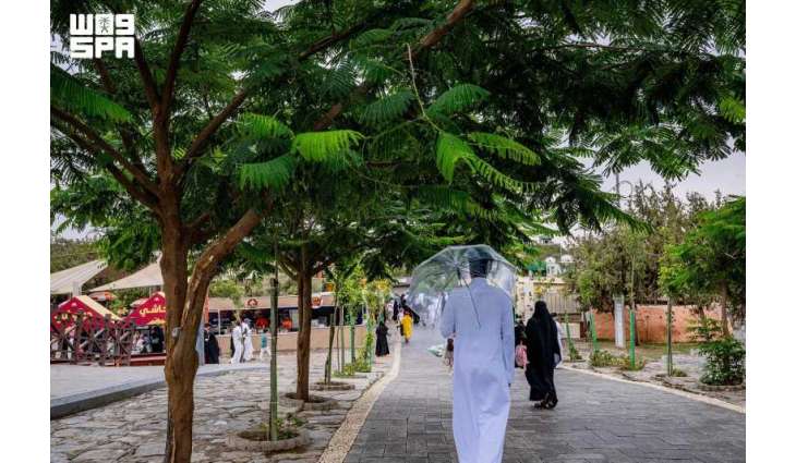 أمطار على منطقة الباحة