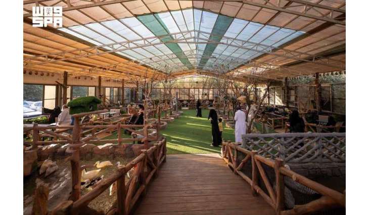 Bird Parks in Al-Hada Attract Visitors During Summer Season