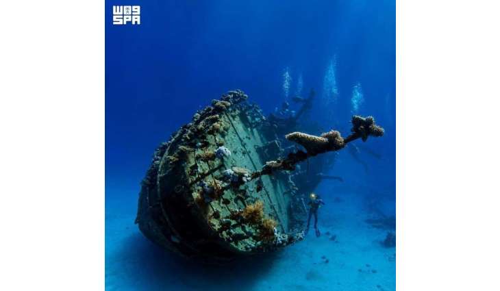 'Submerged Treasures' Exhibition Tells Story of Umluj Shipwreck from Merchant Vessel to Archaeological Site
