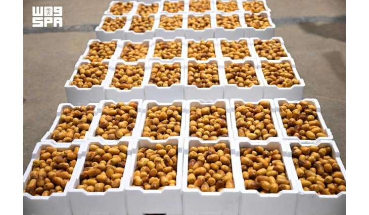 موسم تمور المدينة ينطلق الاثنين المقبل لتعزيز مكانة التمور وإبراز الموروث الثقافي