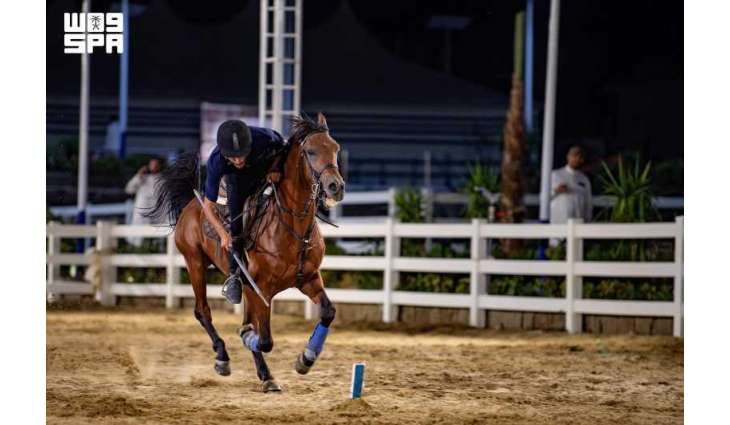 مرابط الخيل في الطائف.. تجربة تعيد تقديم الفروسية للسياح
