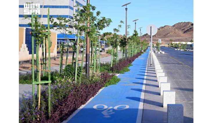 Madinah Expands Sustainable Mobility with Growing Bicycle Network