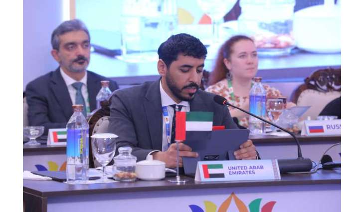 UAE participates in Third BRICS Transport Ministers' Meeting in India