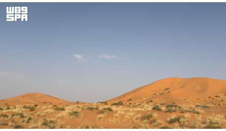Al-Hanateen Dunes Reflect Natural and Historical Heritage near Rafha