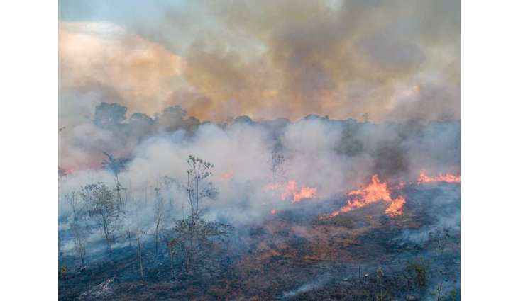 Fires in Brazil's Amazon at lowest level in 40 years