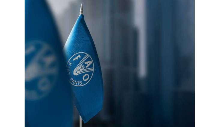 Global hunger levels ease for third consecutive year, FAO says
