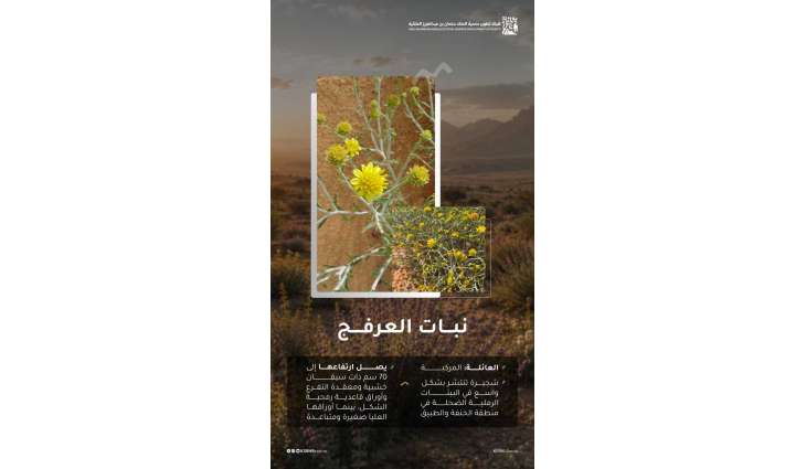 نبض البيئة الصحراوية.. 