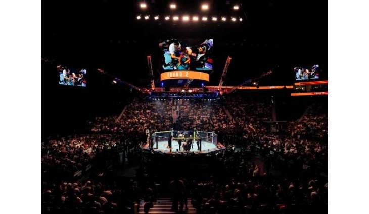 UFC FIGHT NIGHT: Magomed Ankalaev defeats Bogdan Guskov