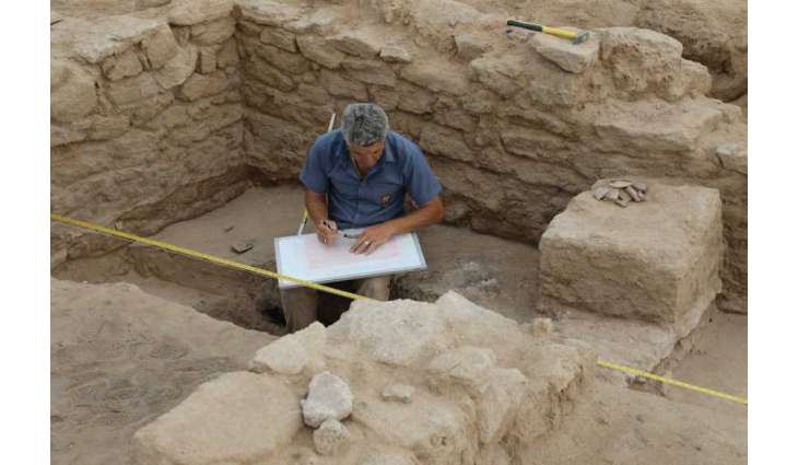 من عمق التاريخ.. آثار أم القيوين تروي حكاية حضارة متجددة