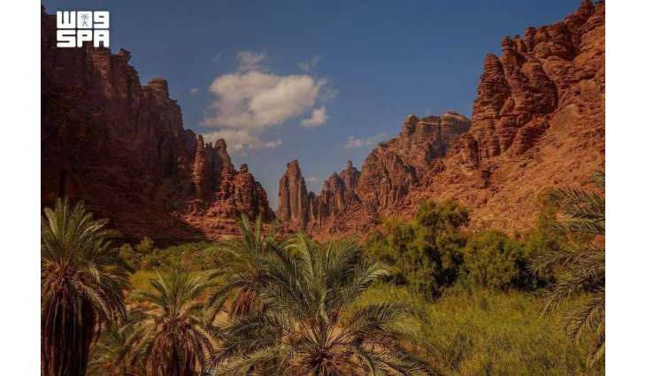 Saudi Arabia's Voluntary Carbon Market Fuels the Shift to a Low-Carbon Future