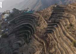 Mountain Terraces of Jazan: A Heritage of Sustainable Agricultural Engineering